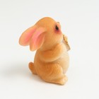 Фигурка полистоун «Маленький зайчик с монеткой», 3×1.7×2 см, МИКС - фото 47148225