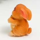 Сувенир полистоун "Зайчик с купюрой/подковой" МИКС 4х3х2,6 см - фото 37795301