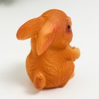 Сувенир полистоун "Зайчик с купюрой/подковой" МИКС 4х3х2,6 см - фото 37795302