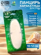 Панцирь каракатицы для птиц, 10-12 см, белый - Фото 1