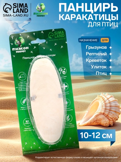 Панцирь каракатицы для птиц, 10-12 см, белый