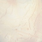 Панцирь каракатицы для птиц 10-12 см, белый - Фото 2