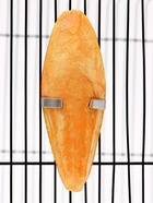 Панцирь каракатицы для птиц «Манго», 12 см - Фото 11