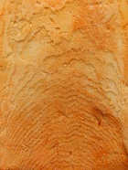 Панцирь каракатицы для птиц «Манго», 12 см - Фото 12