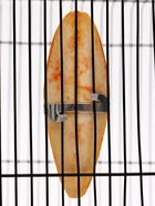 Панцирь каракатицы для птиц «Манго», 12 см - Фото 10