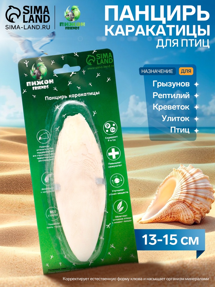 Панцирь каракатицы для птиц 13-15 см, белый - Фото 1