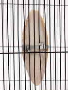 Панцирь каракатицы для птиц 13-15 см, белый 7730356 - фото 16393078