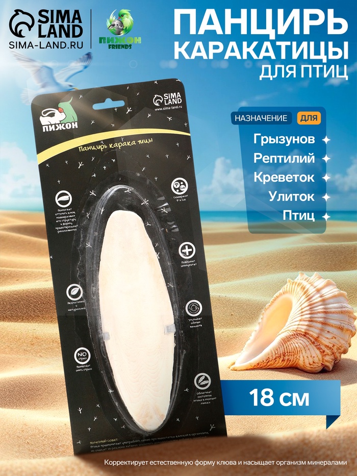 Панцирь каракатицы для птиц 18 см, белый - Фото 1