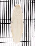 Панцирь каракатицы для птиц 18 см, белый - Фото 11