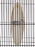 Панцирь каракатицы для птиц 18 см, белый - Фото 10