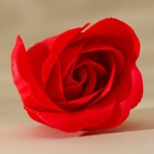 Мыло лепестковое «С 8 Марта», 16 шт., аромат цветочный, Чистое счастье - Фото 3