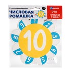Развивающий набор «Числовая ромашка», готовимся к школе - Фото 5