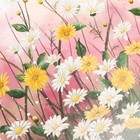 Наклейка пластик интерьерная цветная "Поле ромашек" набор 2 листа 30х90 см - фото 805019921