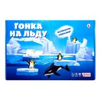 Игра-ходилка «Гонка на льду» 9259125 - фото 3488820