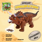 Динозавр «Трицератопс», откладывает яйца, проектор, свет и звук, цвет коричневый - Фото 1