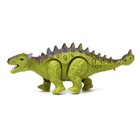 Динозавр «Анкилозавр» работает от батареек, световые и звуковые эффекты, цвет зелёный - фото 3588742