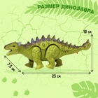 Динозавр «Анкилозавр» работает от батареек, световые и звуковые эффекты, цвет зелёный - Фото 2