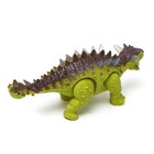 Динозавр «Анкилозавр» работает от батареек, световые и звуковые эффекты, цвет зелёный - фото 6694278