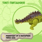 Динозавр «Анкилозавр» работает от батареек, световые и звуковые эффекты, цвет зелёный - Фото 4