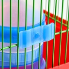 Поилка для птиц 500 мл, микс цветов - Фото 8