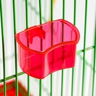 Миска для птиц с креплением к прутьям 5х3,5 см, красная - Фото 4