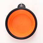 Миска складная, оранжевая, 250 мл, 11 см - Фото 2