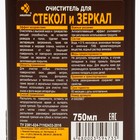 Очиститель IVIclean proTECt, для стекол и зеркал, 750 мл - фото 43005626