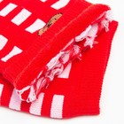 Носки детские махровые, цвет красный/белый, размер 16 - Фото 4