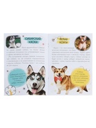 Набор 3 в 1 «Лучший друг», 3 книги, пазл, игрушка - Фото 12