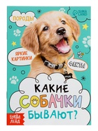 Набор 3 в 1 «Лучший друг», 3 книги, пазл, игрушка 7789399