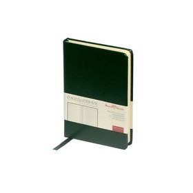 Ежедневник недатированный А6 (87 х 131 мм), 100 листов Megapolis, твёрдая обложка, искусственная кожа, зелёный