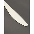 Нож столовый «Уют», h=21 см, толщина=2 мм - Фото 3