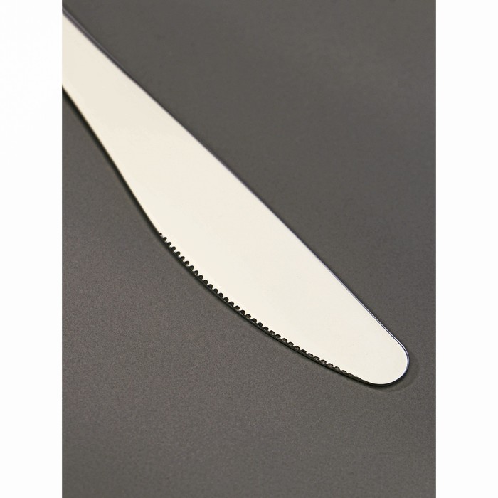 Нож столовый «Уют», h=21 см, толщина=2 мм - фото 1908990443