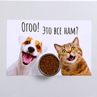 Коврик под миску «Пижон» 43×28 см «Ого! Это всё нам?» - Фото 2