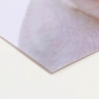 Коврик под миску «Пижон» 43×28 см «Ого! Это всё нам?» - Фото 4