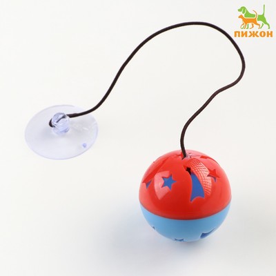 Шарик для кошек «Не поймаешь», 4 см, на присоске, с бубенчиком, цвет МИКС
