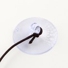 Шарик для кошек «Не поймаешь», 4 см, на присоске, с бубенчиком, цвет МИКС - Фото 3