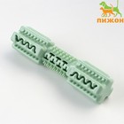 Игрушка  для лакомств и сухого корма "Конструктор", TPR, массажная, 14 х 3,5 см, зелёная 9064605 - фото 1204255