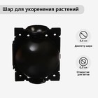 Шар для укоренения растений, d=5.5 см, под ветку 0.5 см, чёрный, Greengo - Фото 1