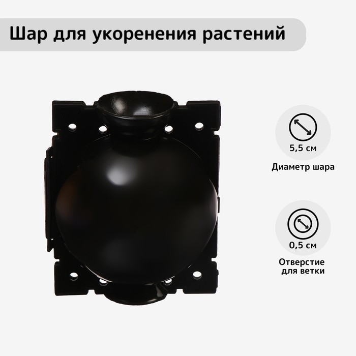Шар для укоренения растений, d=5.5 см, под ветку 0.5 см, чёрный, Greengo - Фото 1