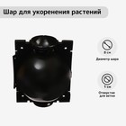 Шар для укоренения растений, d=8 см, под ветку 1 см, чёрный, Greengo - Фото 1