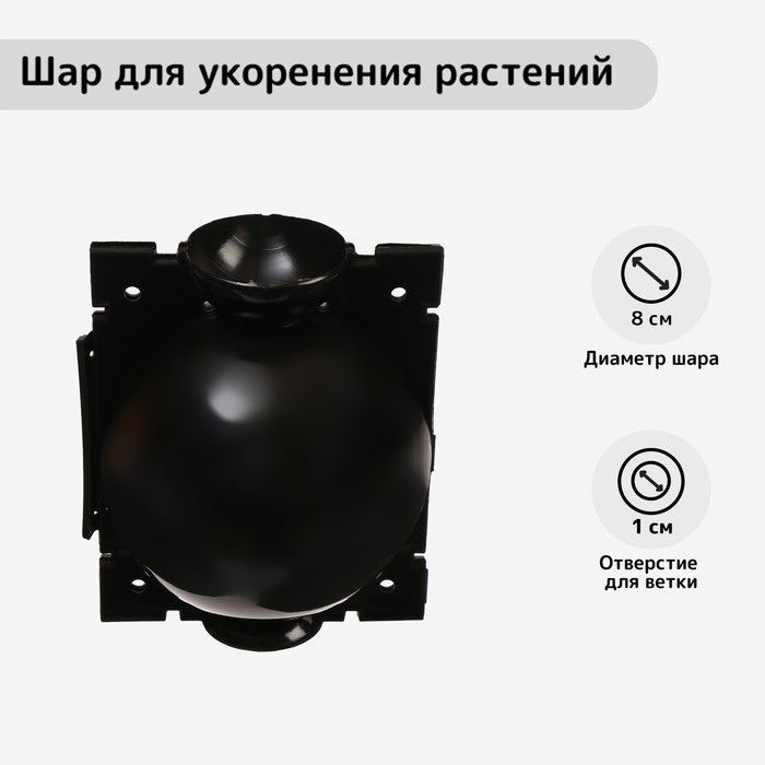 Шар для укоренения растений, d=8 см, под ветку 1 см, чёрный, Greengo - Фото 1