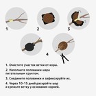 Шар для укоренения растений, d=8 см, под ветку 1 см, чёрный, Greengo - Фото 3