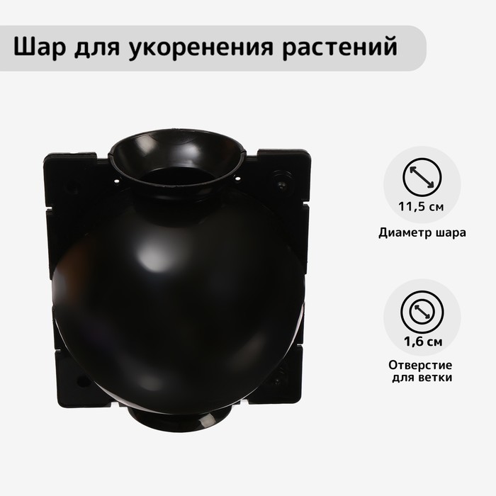 Шар для укоренения растений, d=11.5 см, под ветку 1.6 см, чёрный, Greengo - Фото 1