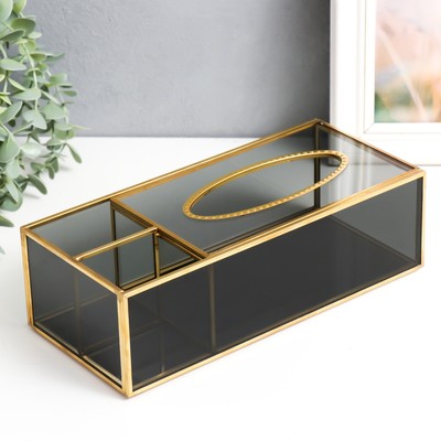 Шкатулка-салфетница «Затемнённая», стекло, органайзер, 7.5×11.5×25.5 см