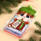 Шоколад новогодний молочный «Согревают уютом», 70 г. - Фото 7