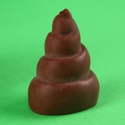 Шоколад формовой «Спойлер на НГ» в баночке, 20 г. - Фото 2