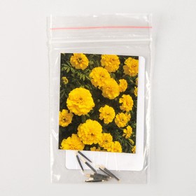 Семена цветов Бархатцы "Дюранго", Голд, Pan American, 10 шт