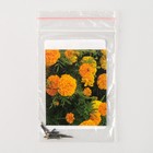 Семена цветов Бархатцы "Леди", F1, Оранж, Pan American, 10 шт - Фото 1