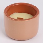 Свеча из соевого воска в кашпо "Горшочек", 6,5х6 см, бежевый - фото 9850870